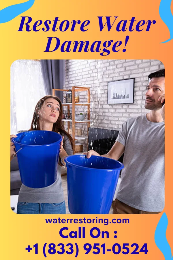 water restoration Pinnacle Water Mitigation Brothers Leroy